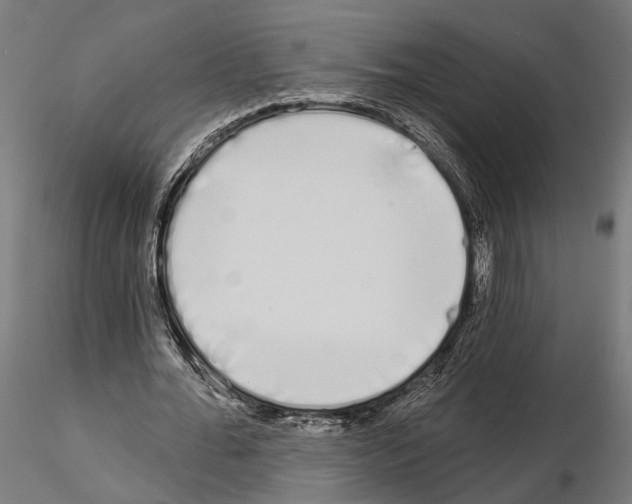 X0000115110676200912081322