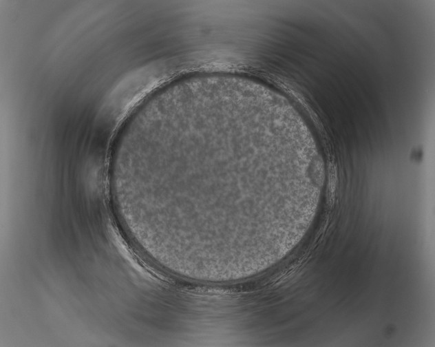 X0000115110677200912081322