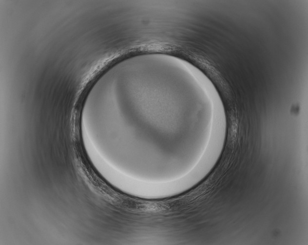 X0000115110678200912081322