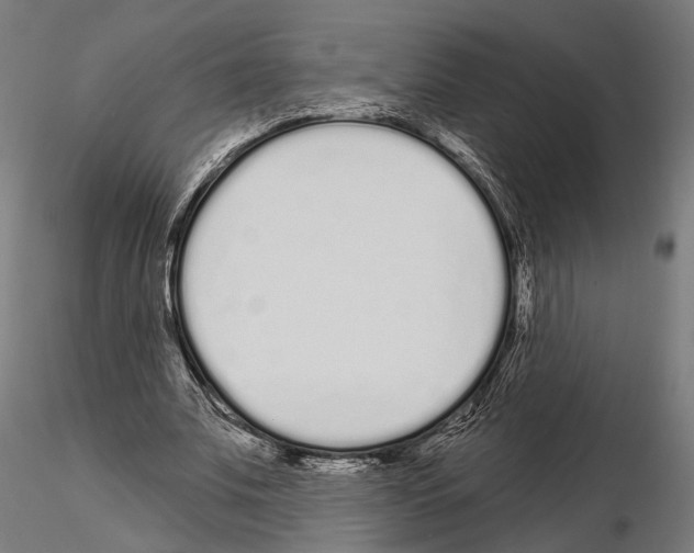 X0000115110679200912081322