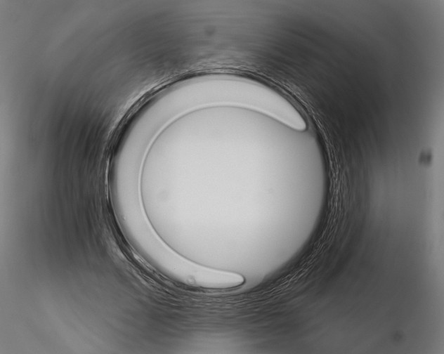 X0000115110680200912081322