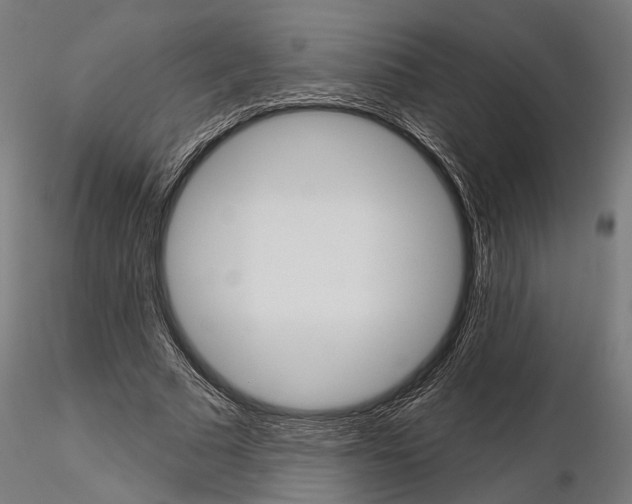 X0000115110681200912081322