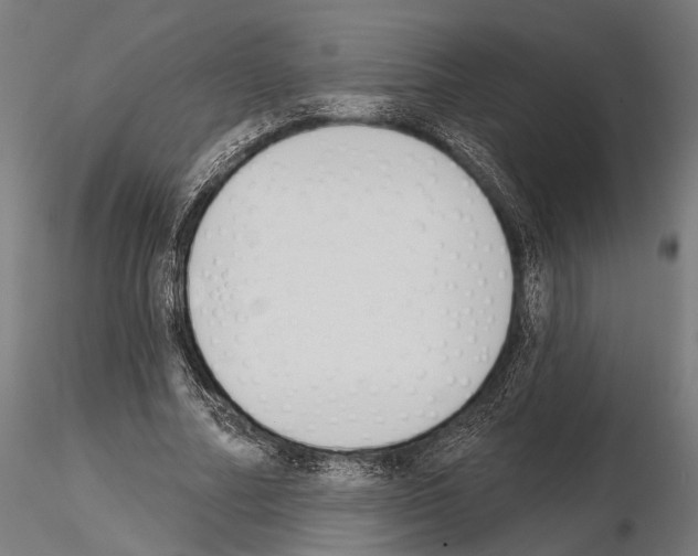 X0000115110682200912081322