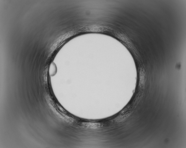 X0000115110683200912081322