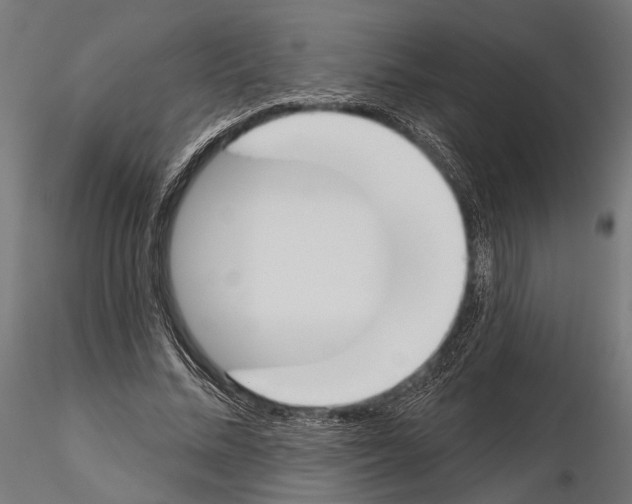 X0000115110684200912081322