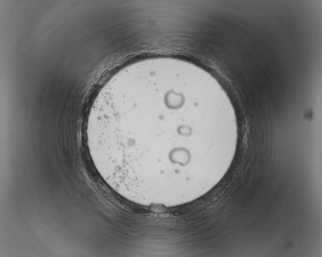 X0000115110685200912081322