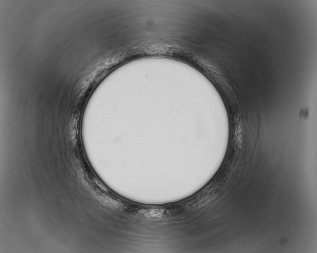 X0000115110687200912081322