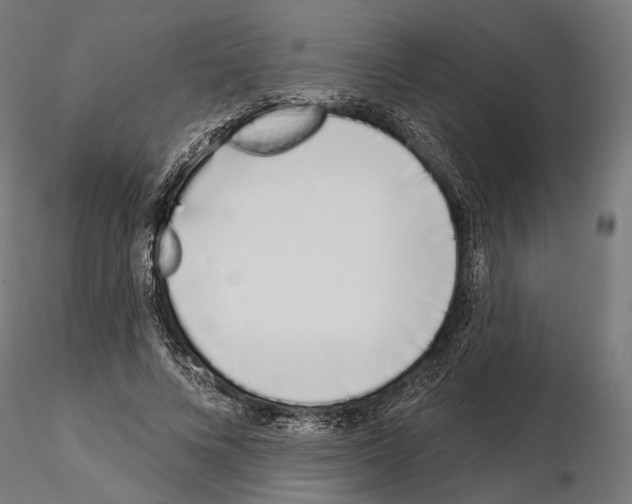 X0000115110688200912081321