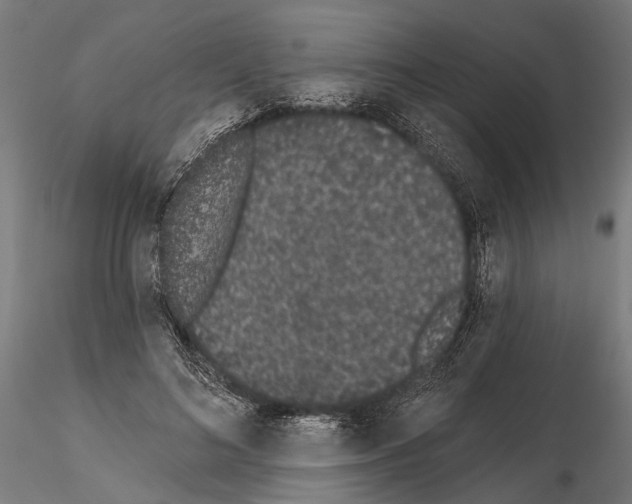 X0000115110692200912081321