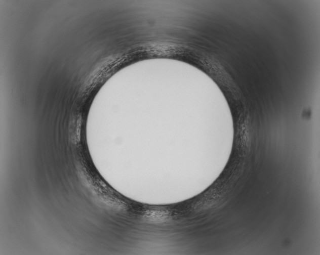 X0000115110694200912081321