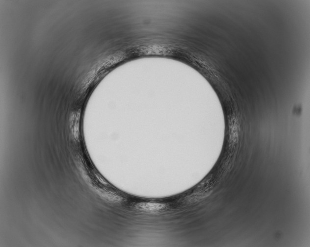 X0000115110695200912081321