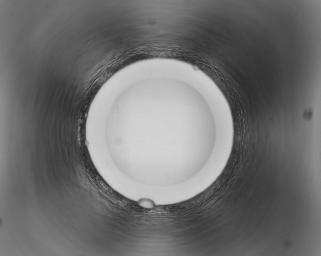 X0000115110696200912081321