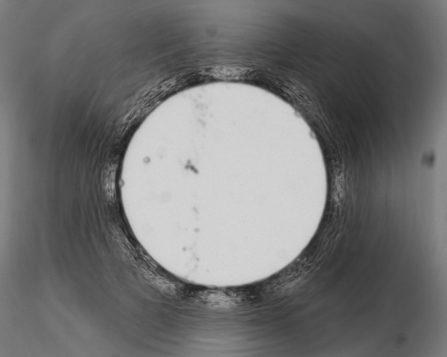 X0000115110697200912081321