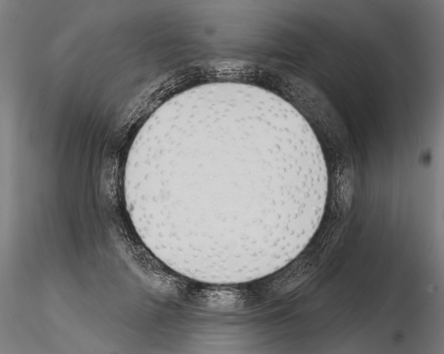 X0000115110698200912081321