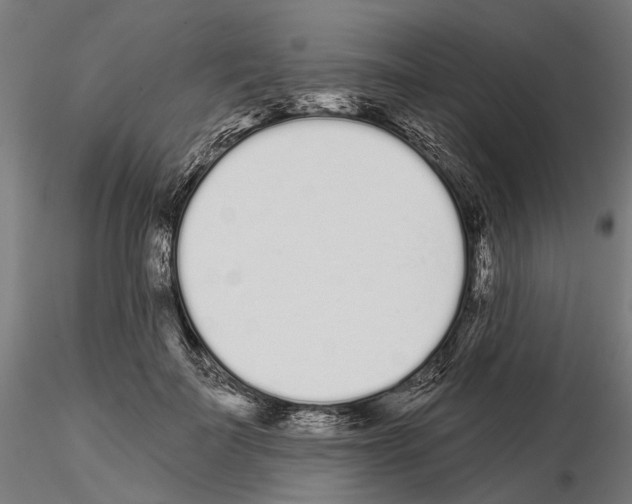 X0000115110699200912081321