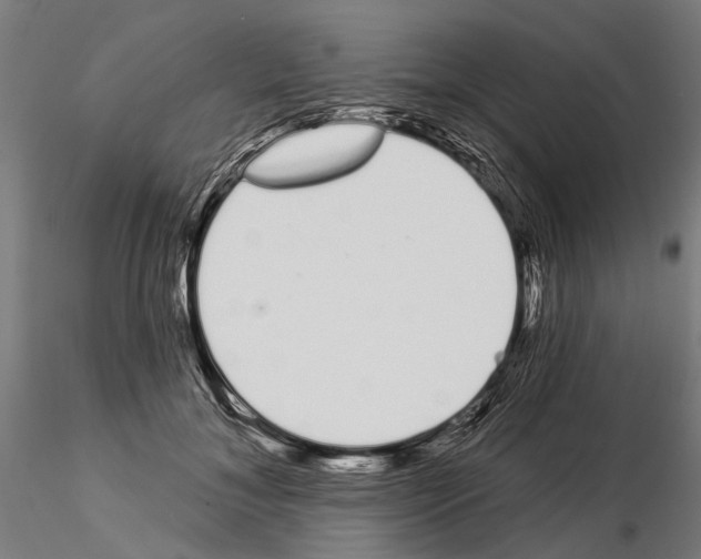 X0000115110700200912081321