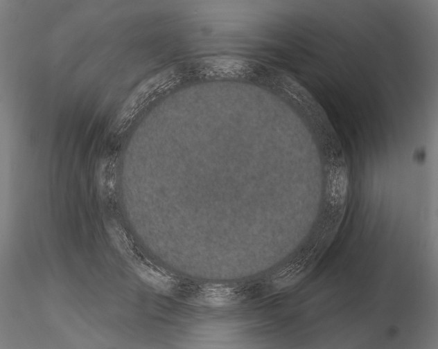 X0000115110701200912081321