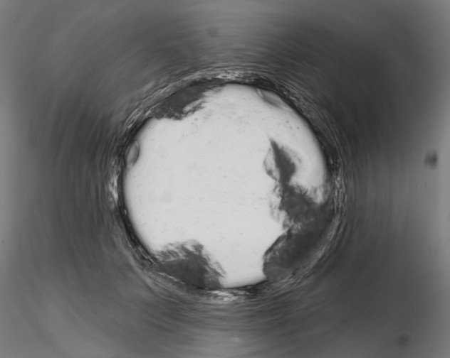 X0000115110703200912081321