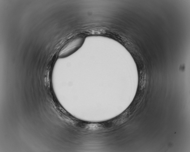 X0000115110704200912081321