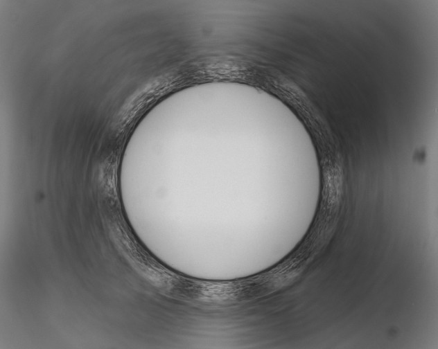 X0000115110705200912081321