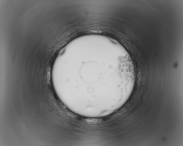 X0000115110707200912081321