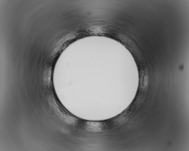 X0000115110710200912081321