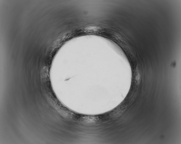 X0000115110711200912081321