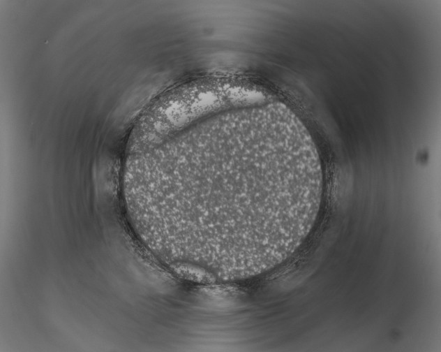 X0000115110712200912081321