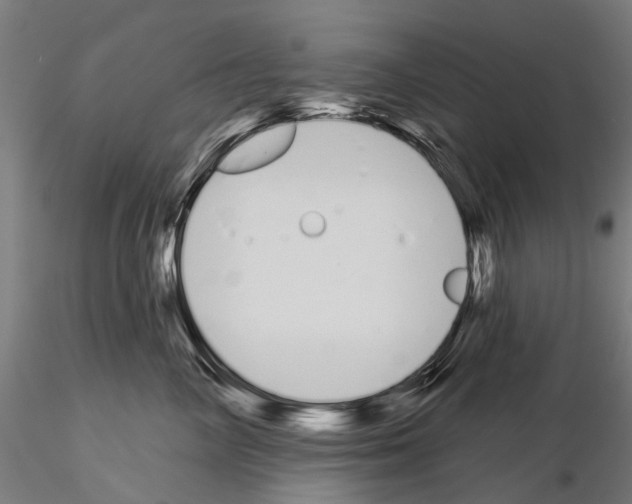 X0000115110714200912081321