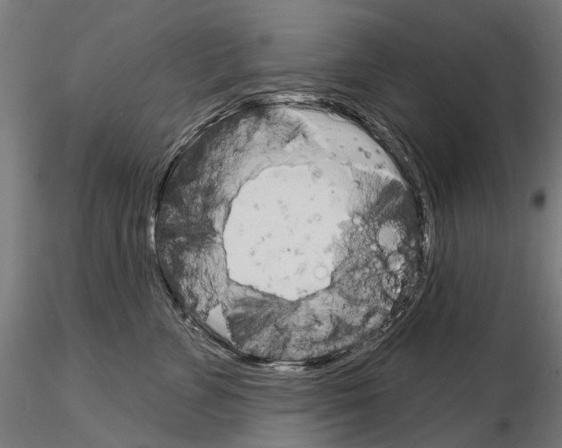 X0000115110715200912081321