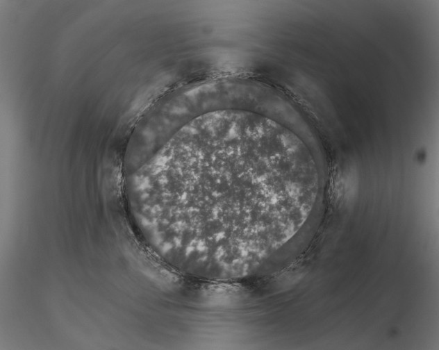 X0000115110716200912081321