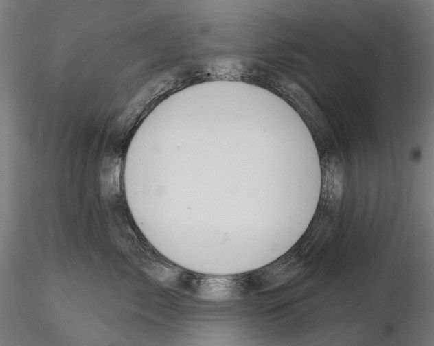 X0000115110717200912081321