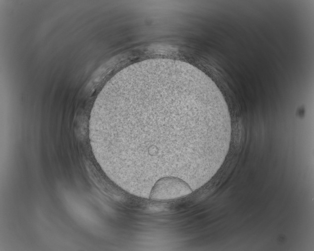 X0000115110718200912081321