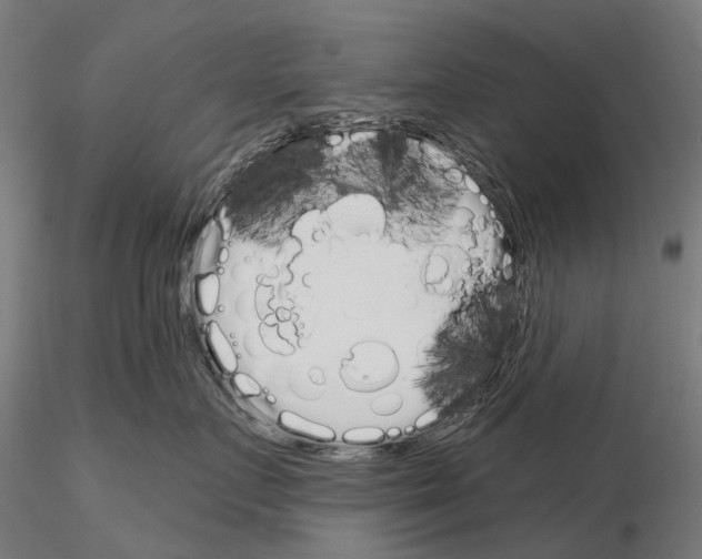 X0000115110719200912081321