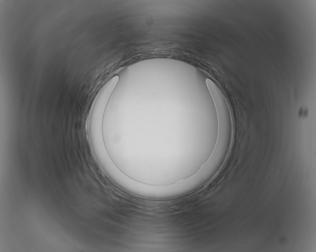 X0000115110720200912081321