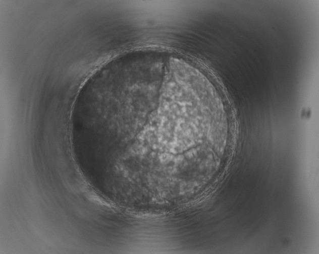 X0000115110721200912081320