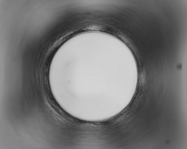 X0000115110722200912081320