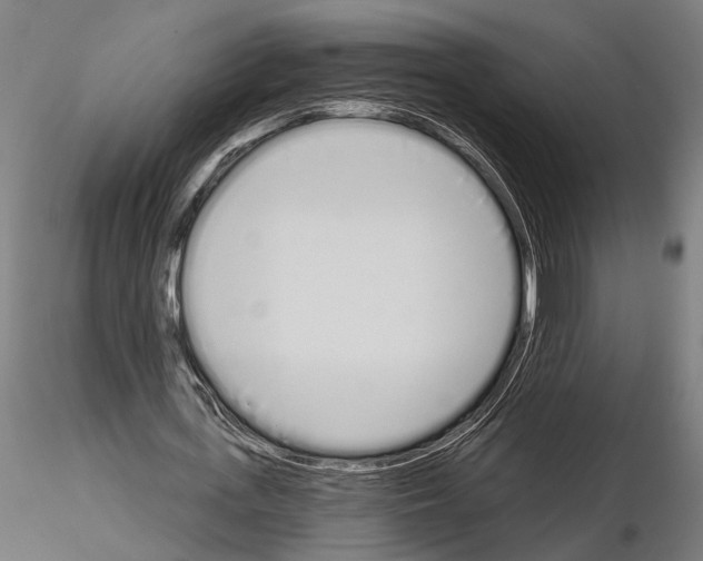 X0000115110723200912081320