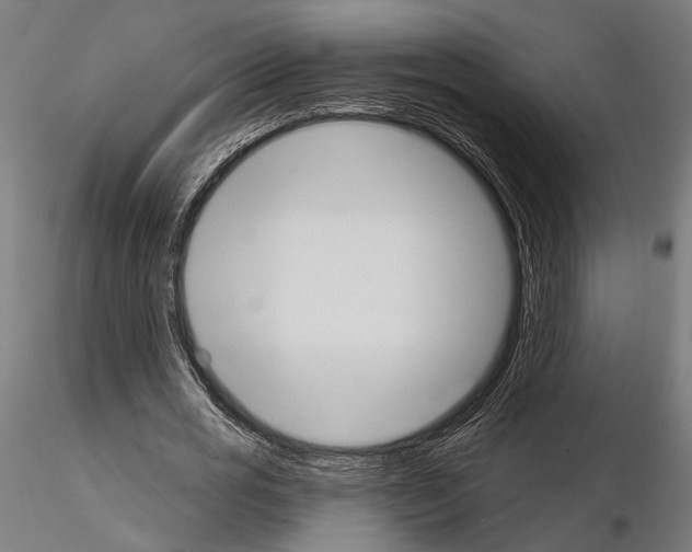 X0000115110725200912081320