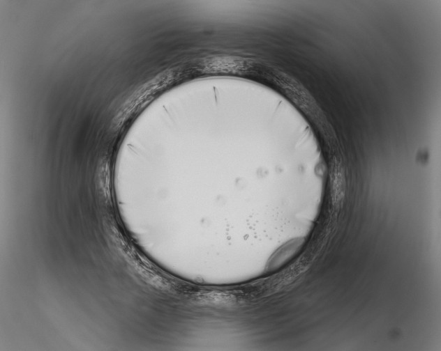 X0000115110729200912081320