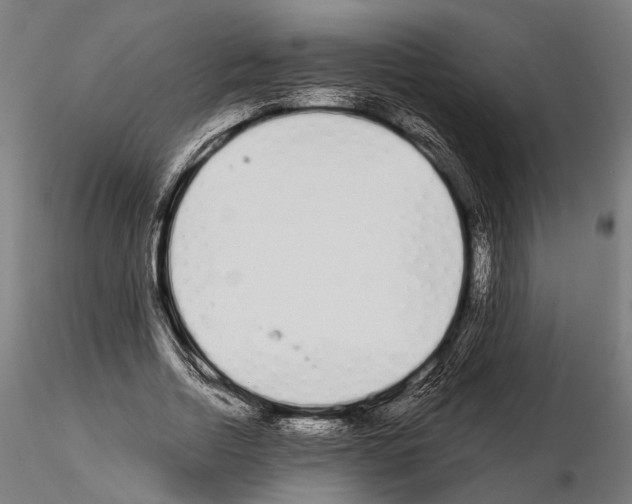 X0000115110730200912081321