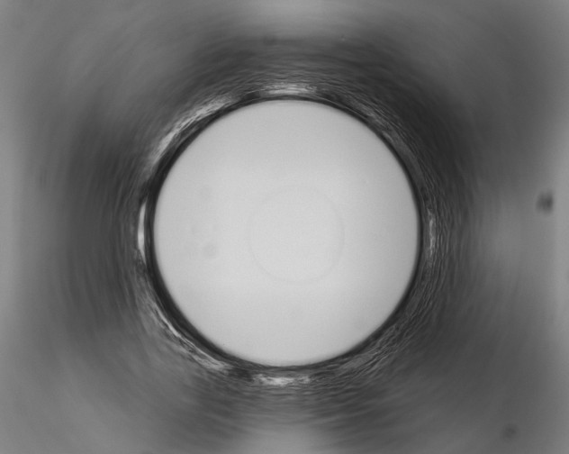 X0000115110731200912081321