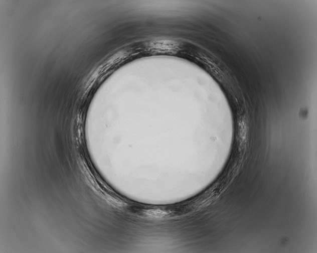 X0000115110733200912081321