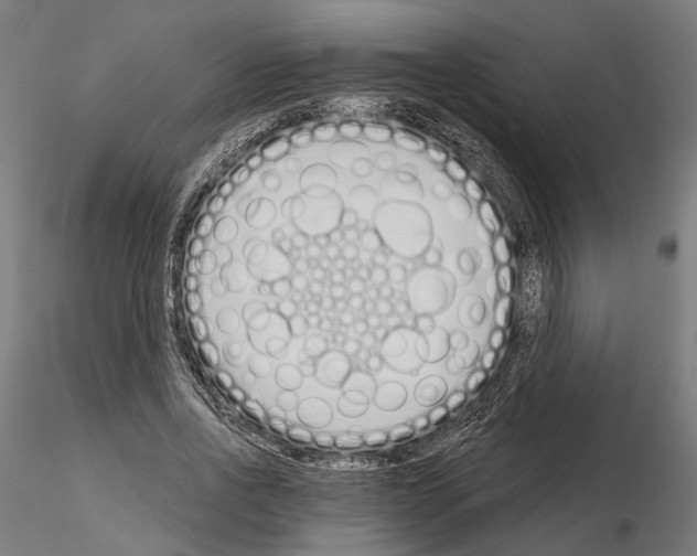 X0000115110734200912081321