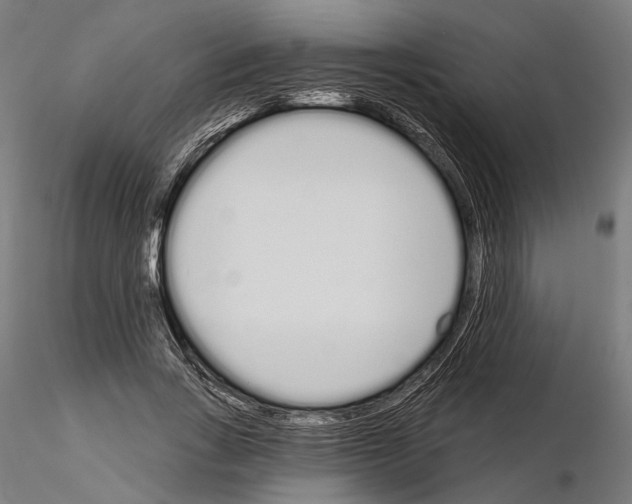 X0000115110735200912081321