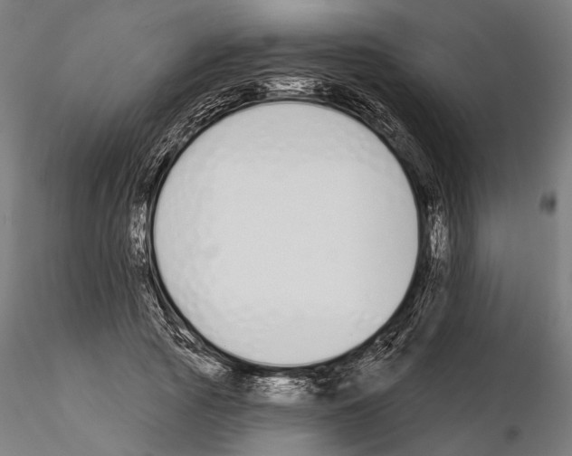 X0000115110737200912081321