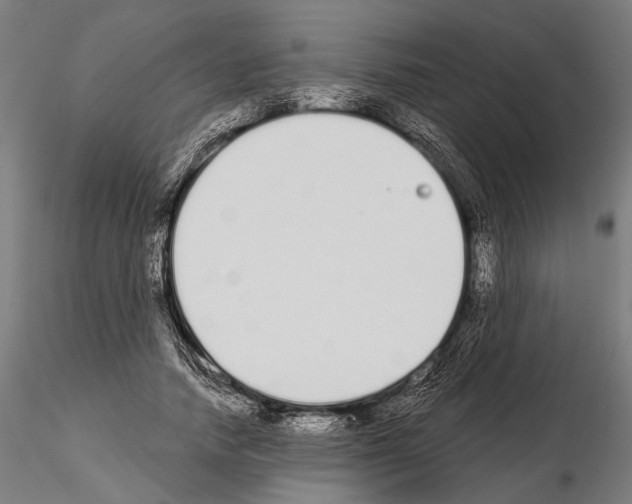 X0000115110738200912081321