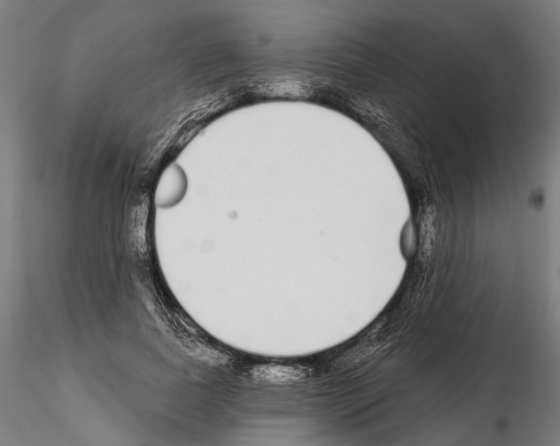 X0000115110739200912081321