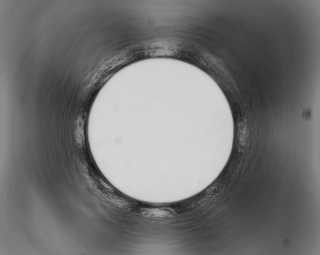 X0000115110743200912081321