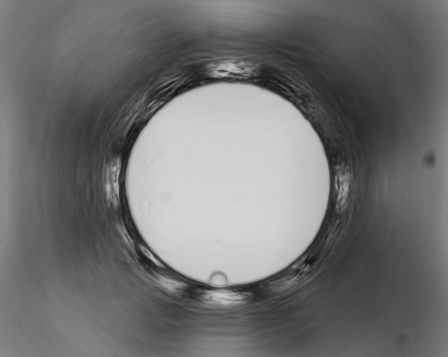 X0000115110749200912081321